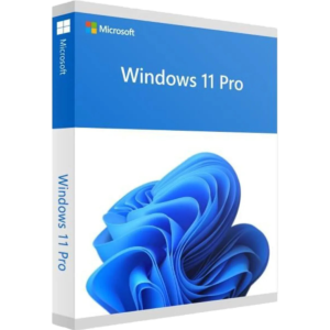 Windows 11 Professional - Lifetime Licence